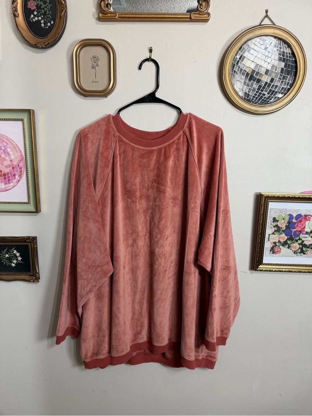 aerie Raw Sienna Veloure Crewneck Sweatshirt *no longer sold!
